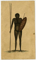 A native of New Holland taken from the life.