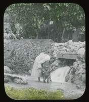 [Black woman washing young black boy at a dam]