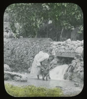[Black woman washing young black boy at a dam]
