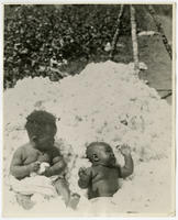 [African American toddler and baby in a pile of cotton]