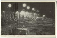 3183. Night Illumination of Shipways, Hog Island, PA.