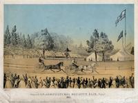Scene at the U. S. Agricultural Society's Fair, Philada. 1856. [graphic] / Js. Queen, delt.