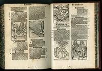 Hortus Sanitatis