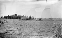 [Men harvesting hay on the Stouton farm, Philadelphia, Pa.]