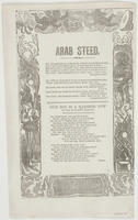 ARAB STEED.