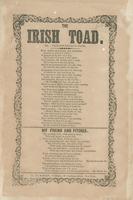 THE IRISH TOAD.