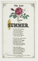 THE LAST ROSE OF SUMMER.
