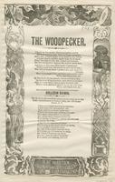 THE WOODPECKER.