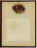 Letter and wig of Charles Lee, 1731-1782