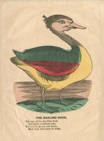 The Darling Duck.