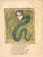 Snake in the Grass, (A Deceitful Man.)