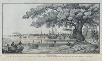 Philadelphia, von dem grossen Baume zu Kensington aus geschen, unter welchem William Penn den tractat mit den Indianern abschloss.