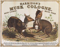 Harrison's Musk Cologne. Musk extract. Musk soap. Apollos W. Harrison, Philadelphia, No. 10 South 7th Street.