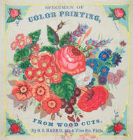 Specimen of coloring printing, from wood cuts,