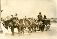 [Richard McAllister Coal Company delivery cart, Philadelphia] 