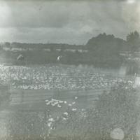 [Ducks at an unidentified farm, Long Island, New York.]