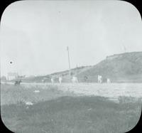 [Goats on a dirt road, Long Island, New York.]