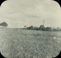 [View of farm buildings and windmill on an unidentified farm.]