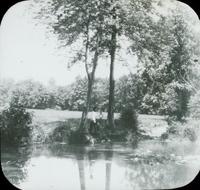 [Catharine Rupp Doering standing on bank of Wissahickon Creek.]