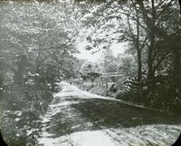 [Distant figure walking along a path near Wissahickon Creek.]