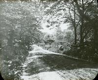 [Distant figure walking along a path near Wissahickon Creek.]