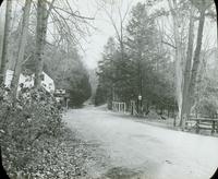 [Valley Green Inn, partial view focusing on Forbidden Drive, Fairmount Park, Philadelphia.]