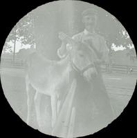 [Man with a mule, Sellersville, Pa.]