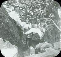 [Group portrait of the Doerings and Lindsays sitting on a large tree limb.]