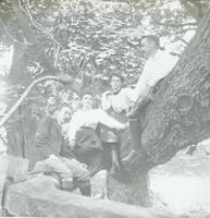 [Group portrait of the Doerings and Lindsays sitting on a large tree limb.]