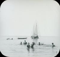 [Group swimming in the Chesapeake Bay.]