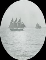 [Sailboats in the Chesapeake Bay.]