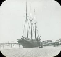 [Robert Morgan of New Haven, washed ashore after a storm in Atlantic City, N.J.]