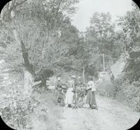 [Bicycling trip, group stopped on dirt road to gather branches.]