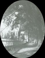 [View of dwellings from tree-lined sidewalk.]
