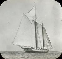 [Sailboat in the Chesapeake Bay.]
