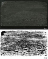 ASSU Illustration 8482