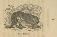 ASSU Illustration 4925