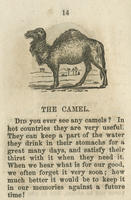 ASSU Illustration 3398