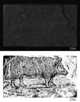 ASSU Illustration 3396