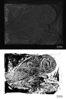 ASSU Illustration 3399