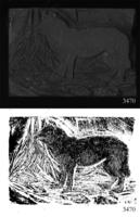 ASSU Illustration 3470