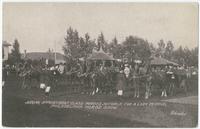 [Philadelphia Horse Show, judging appointment class, horses suitable for a lady to drive.]