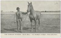 The Hairless Wonder, "Blue Bell," 1315 Market Street, Philadelphia.