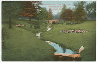 Glen near Horticultural Hall postcards.