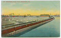 Philadelphia Stock Yard postcards.