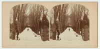 A homestead gate, Fisher's Lane, near Philada.