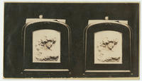 [Framed relief carving, Fine Art Gallery, Great Central Fair, Philadelphia, 1864]