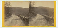 [View of road in West Branch Valley, Schuylkill County, Pa.]