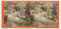 Scenery at West West Falls, Schuylkill County, Pa.