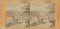 [West bank of the Schuylkill River from Laurel Hill Cemetery, Philadelphia]